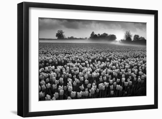 Netherlands-Maciej Duczynski-Framed Photographic Print