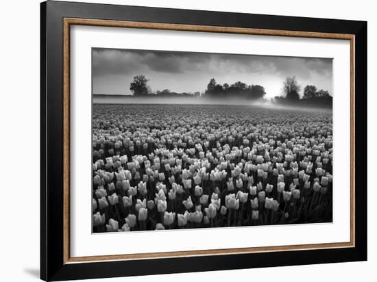 Netherlands-Maciej Duczynski-Framed Photographic Print