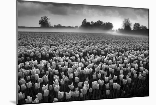 Netherlands-Maciej Duczynski-Mounted Photographic Print