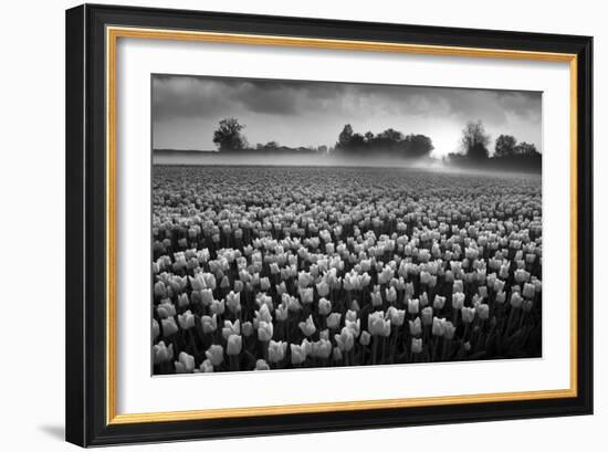 Netherlands-Maciej Duczynski-Framed Photographic Print