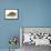 Netted Dog Whelk Shell, Normandy, France-Philippe Clement-Framed Premier Image Canvas displayed on a wall
