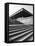 Neue Nationalgalerie (By Mies Van Der Rohe), Berlin, Germany-Jon Arnold-Framed Premier Image Canvas