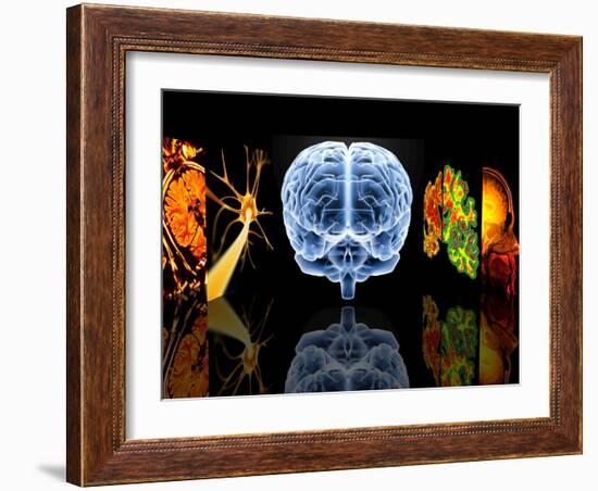 Neurology-PASIEKA-Framed Photographic Print