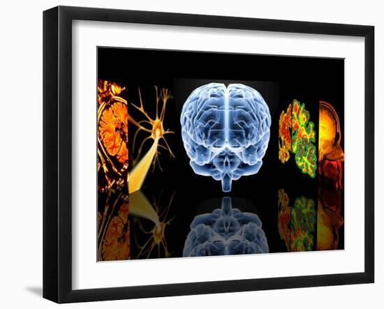 Neurology-PASIEKA-Framed Photographic Print