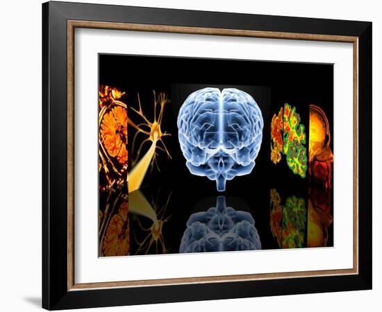 Neurology-PASIEKA-Framed Photographic Print