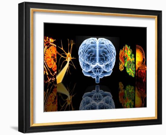 Neurology-PASIEKA-Framed Photographic Print