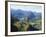 Neuschwanstein and Hohenschwangau Castles, Alpsee and Tannheimer Alps, Allgau, Bavaria, Germany-Hans Peter Merten-Framed Photographic Print