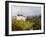 Neuschwanstein Castle, Bavaria, Germany, Europe-Gavin Hellier-Framed Photographic Print