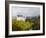 Neuschwanstein Castle, Bavaria, Germany, Europe-Gavin Hellier-Framed Photographic Print