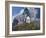 Neuschwanstein Castle, Bavaria, Germany, Europe-Gavin Hellier-Framed Photographic Print