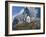 Neuschwanstein Castle, Bavaria, Germany, Europe-Gavin Hellier-Framed Photographic Print