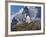 Neuschwanstein Castle, Bavaria, Germany, Europe-Gavin Hellier-Framed Photographic Print