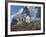 Neuschwanstein Castle, Bavaria, Germany, Europe-Gavin Hellier-Framed Photographic Print