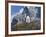 Neuschwanstein Castle, Bavaria, Germany, Europe-Gavin Hellier-Framed Photographic Print