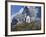 Neuschwanstein Castle, Bavaria, Germany, Europe-Gavin Hellier-Framed Photographic Print