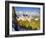 Neuschwanstein Castle, Bavaria, Germany, Europe-Gavin Hellier-Framed Photographic Print