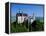 Neuschwanstein Castle, Bavaria, Germany-Steve Vidler-Framed Premier Image Canvas