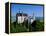 Neuschwanstein Castle, Bavaria, Germany-Steve Vidler-Framed Premier Image Canvas