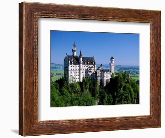 Neuschwanstein Castle, Bavaria, Germany-Steve Vidler-Framed Photographic Print