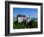 Neuschwanstein Castle, Bavaria, Germany-Steve Vidler-Framed Photographic Print