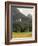 Neuschwanstein Castle, Built by King Ludwig, Fussen, Germany-Adam Jones-Framed Photographic Print