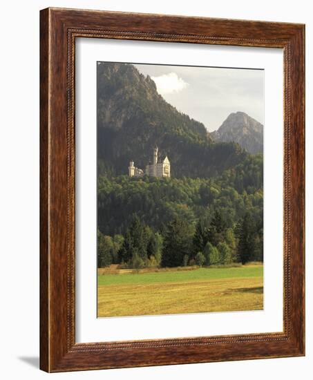 Neuschwanstein Castle, Built by King Ludwig, Fussen, Germany-Adam Jones-Framed Photographic Print
