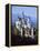 Neuschwanstein Castle, Fussen Bavaria, South Germany-Nigel Francis-Framed Premier Image Canvas