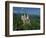 Neuschwanstein Castle, Germany, Europe-Williams Andy-Framed Photographic Print