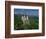 Neuschwanstein Castle, Germany, Europe-Williams Andy-Framed Photographic Print