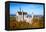 Neuschwanstein Castle in Bavarian Alps, Germany-swisshippo-Framed Premier Image Canvas