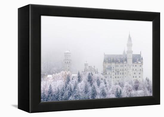 Neuschwanstein Castle in Winter, Fussen, Bavaria, Germany, Europe-Miles Ertman-Framed Premier Image Canvas