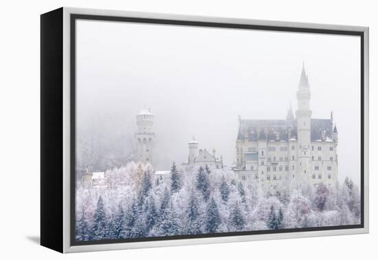 Neuschwanstein Castle in Winter, Fussen, Bavaria, Germany, Europe-Miles Ertman-Framed Premier Image Canvas