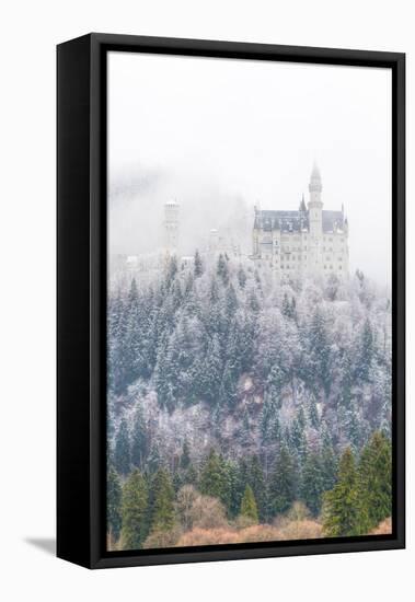 Neuschwanstein Castle in Winter, Fussen, Bavaria, Germany, Europe-Miles Ertman-Framed Premier Image Canvas