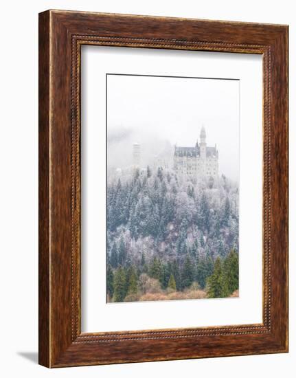 Neuschwanstein Castle in Winter, Fussen, Bavaria, Germany, Europe-Miles Ertman-Framed Photographic Print