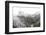 Neuschwanstein Castle in Winter, Fussen, Bavaria, Germany, Europe-Miles Ertman-Framed Photographic Print