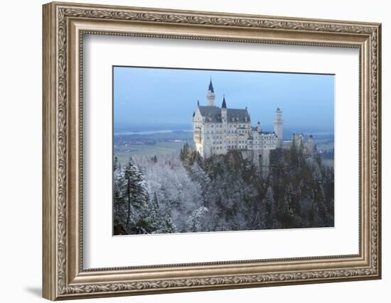 Neuschwanstein Castle in Winter, Fussen, Bavaria, Germany, Europe-Miles Ertman-Framed Photographic Print