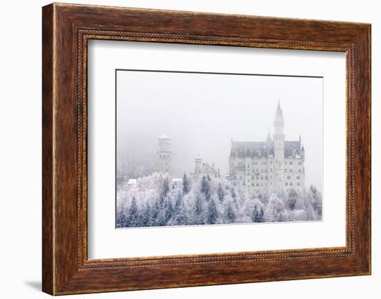 Neuschwanstein Castle in Winter, Fussen, Bavaria, Germany, Europe-Miles Ertman-Framed Photographic Print