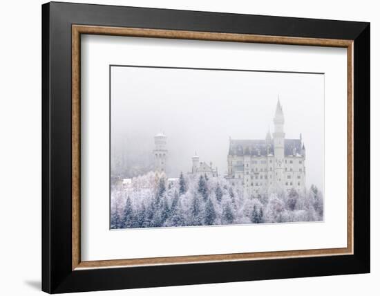 Neuschwanstein Castle in Winter, Fussen, Bavaria, Germany, Europe-Miles Ertman-Framed Photographic Print