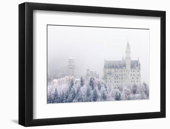 Neuschwanstein Castle in Winter, Fussen, Bavaria, Germany, Europe-Miles Ertman-Framed Photographic Print