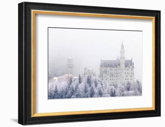 Neuschwanstein Castle in Winter, Fussen, Bavaria, Germany, Europe-Miles Ertman-Framed Photographic Print