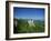 Neuschwanstein Castle on a Wooded Hill with Mountains in the Background, in Bavaria, Germany-null-Framed Photographic Print