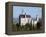 Neuschwanstein Castle, Schwangau, Allgau, Bavaria, Germany, Europe-Hans Peter Merten-Framed Premier Image Canvas