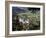 Neuschwanstein Castle, West of Fussen, Bavaria, Germany, Europe-Nigel Blythe-Framed Photographic Print