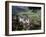 Neuschwanstein Castle, West of Fussen, Bavaria, Germany, Europe-Nigel Blythe-Framed Photographic Print