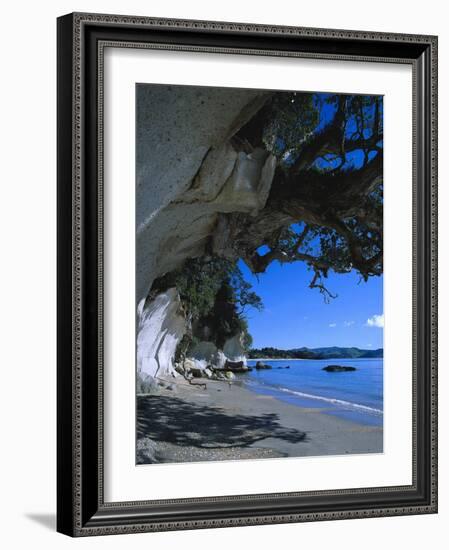 Neuseeland, Nordinsel, Cooks Beach, Tuffsteinkv¼ste, New Zealand, North Island, Tuffstein-Thonig-Framed Photographic Print