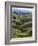 Neuseeland, Sv¼dinsel, Nahe Lawrence, Otago, Hv¼gellandschaft, Schafe, New Zealand-Thonig-Framed Photographic Print