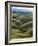 Neuseeland, Sv¼dinsel, Nahe Lawrence, Otago, Hv¼gellandschaft, Schafe, New Zealand-Thonig-Framed Photographic Print