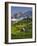 Neustattalm, Dachstein, Styria, Austria-Rainer Mirau-Framed Photographic Print