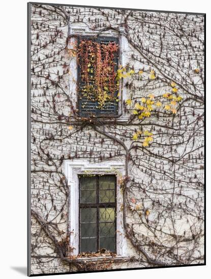 Neustift Monastery Courtyard During Autumn. South Tyrol, Italy-Martin Zwick-Mounted Photographic Print