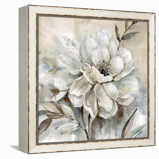 Neutral Bloom I-Carol Robinson-Framed Stretched Canvas